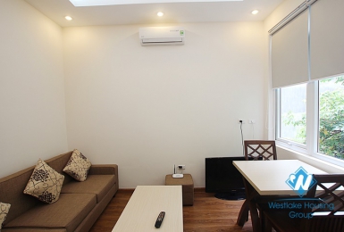 Brand new apartment  for rent in Tay Ho